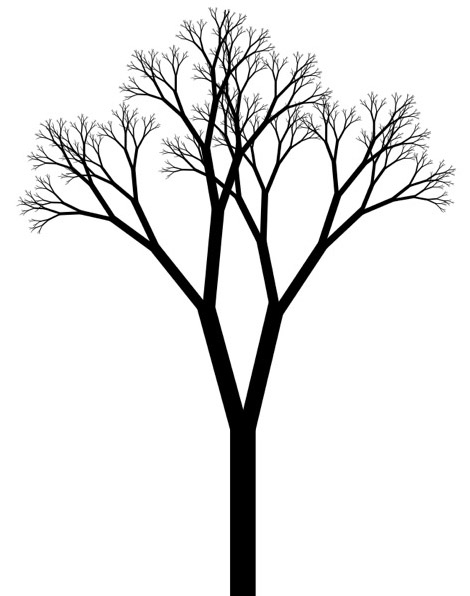 Simple Black And White Tree Drawing 56023 | UPSTORE