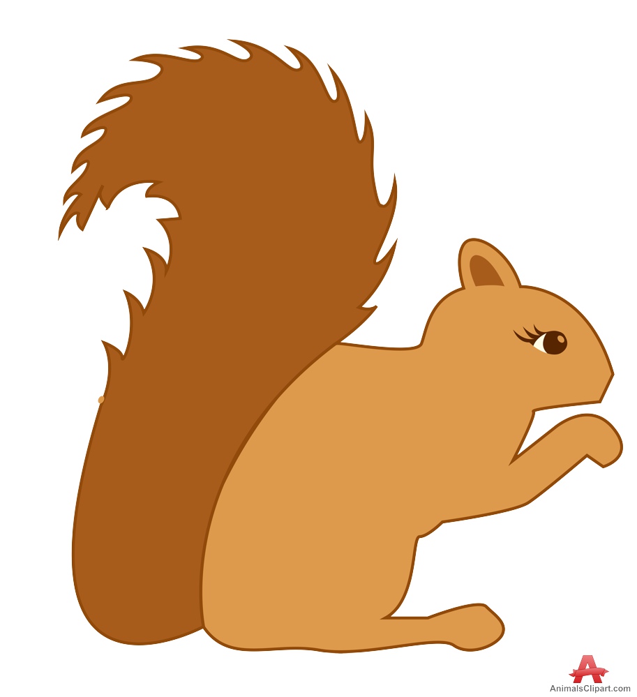 Free squirrel clipart images