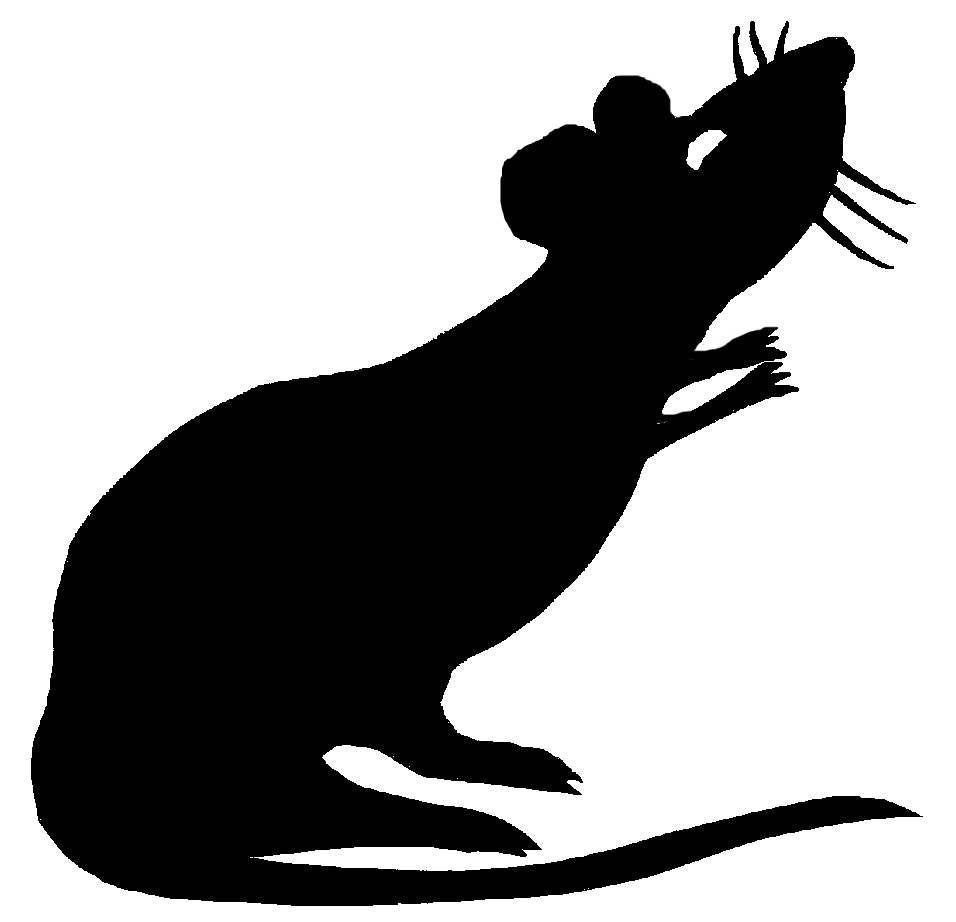 rat clipart black and white - photo #34