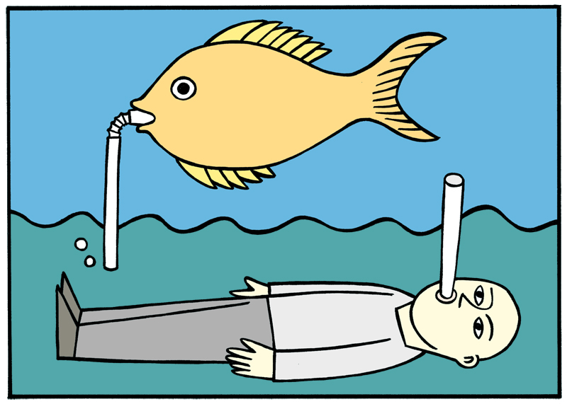 fish - . Illustration by Alan Rogerson. Illustration by Alan Rogerson