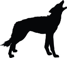 Wolf Silhouette | Silhouette of Wolf