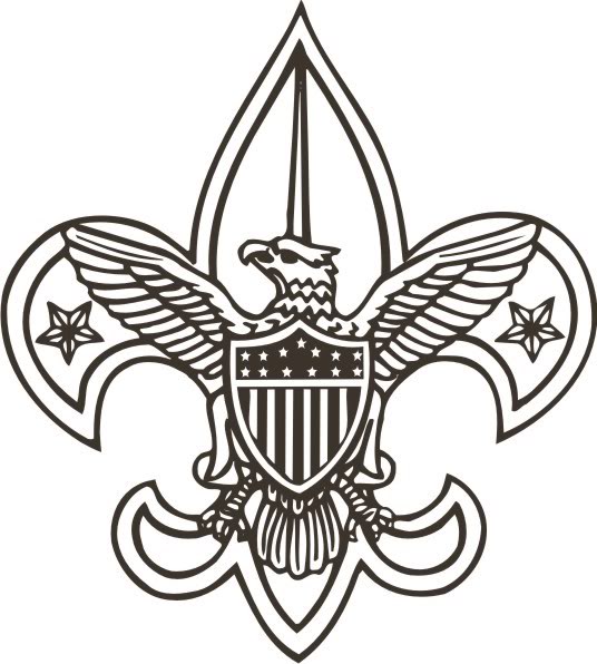 Re: BSA Logo Boy Scouts of America