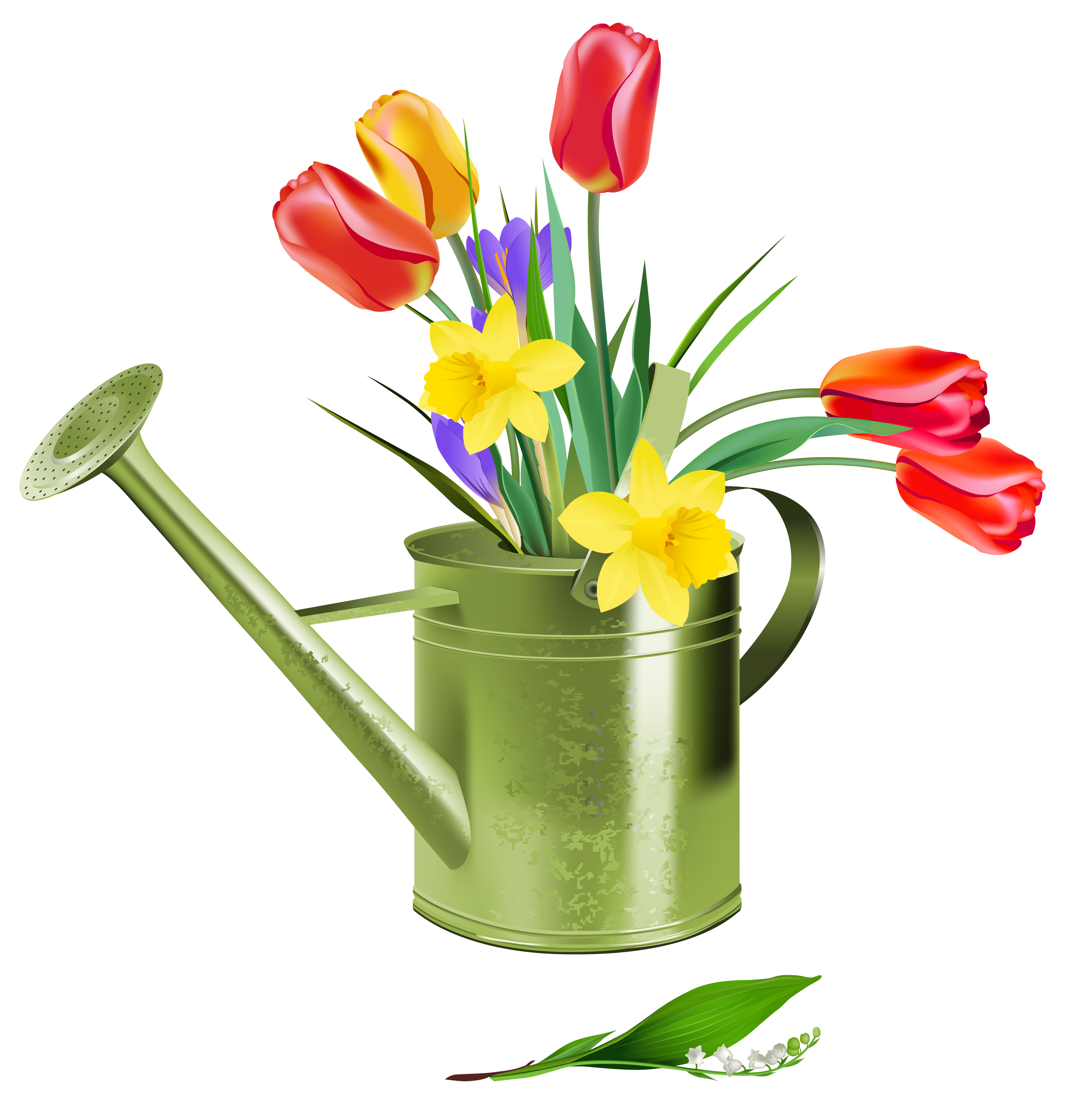 spring tulips clip art - photo #7