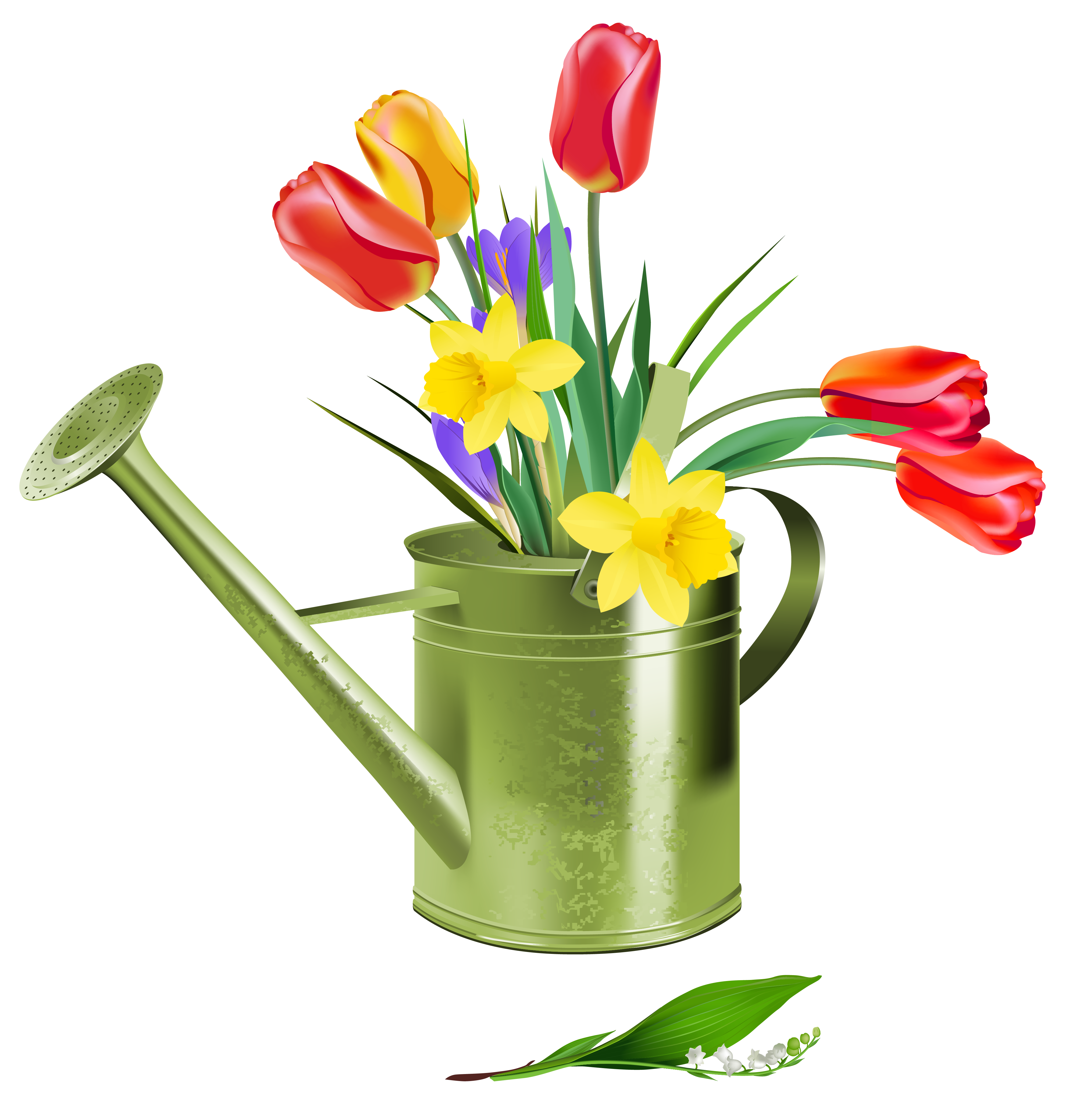 spring flower clipart images - photo #25