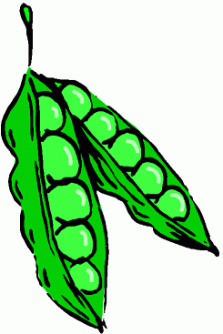 Regular Clip Art» Food» Veggies» peas.gif