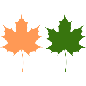 992 views Maple Leaf Clipart Cliparts Of Maple Leaf Free Download Wmf Eps ...