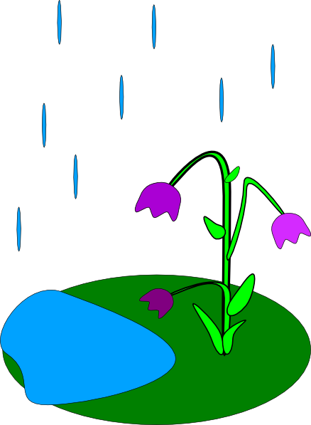 Rain Flowers Clipart
