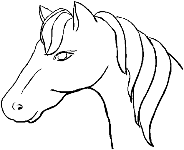 Coloring Book Pages - Horse Head