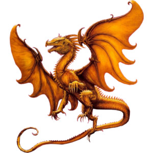 Render Dragon Orange - Dragons - Fantastique - PNG image san ...