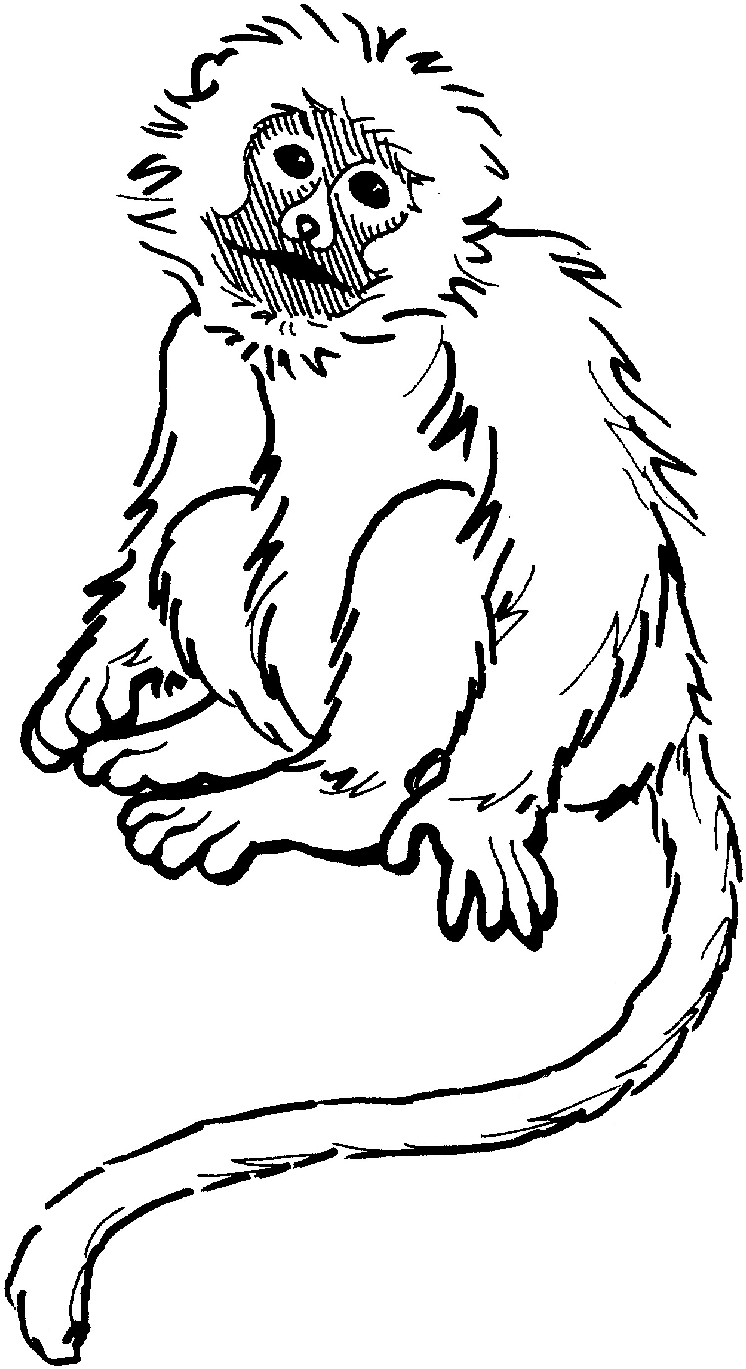 coloring-monkey-clipart-best