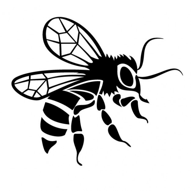 Black bee drawing vector image | Download free Vector