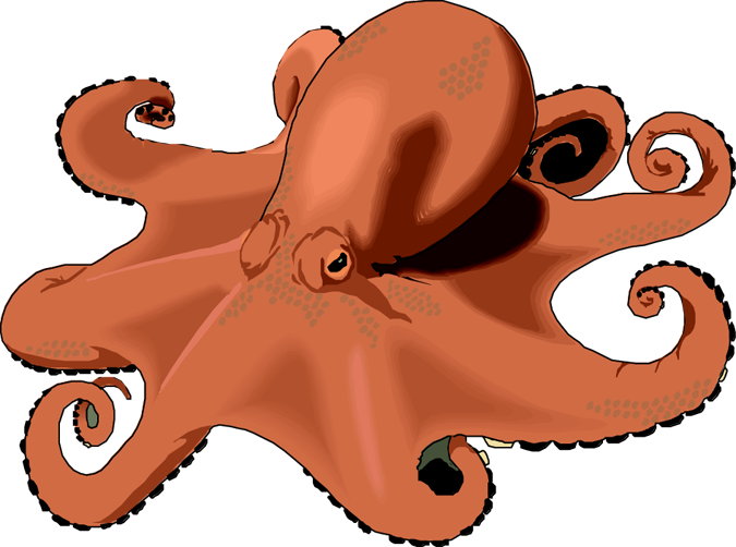 octopus clipart vector free - photo #10