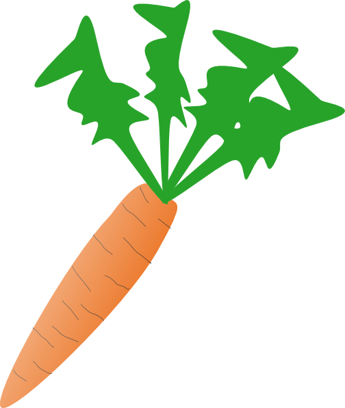 Carrot clip art Free Vector