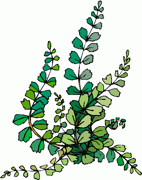 Plants Clip Art Free - Free Clipart Images