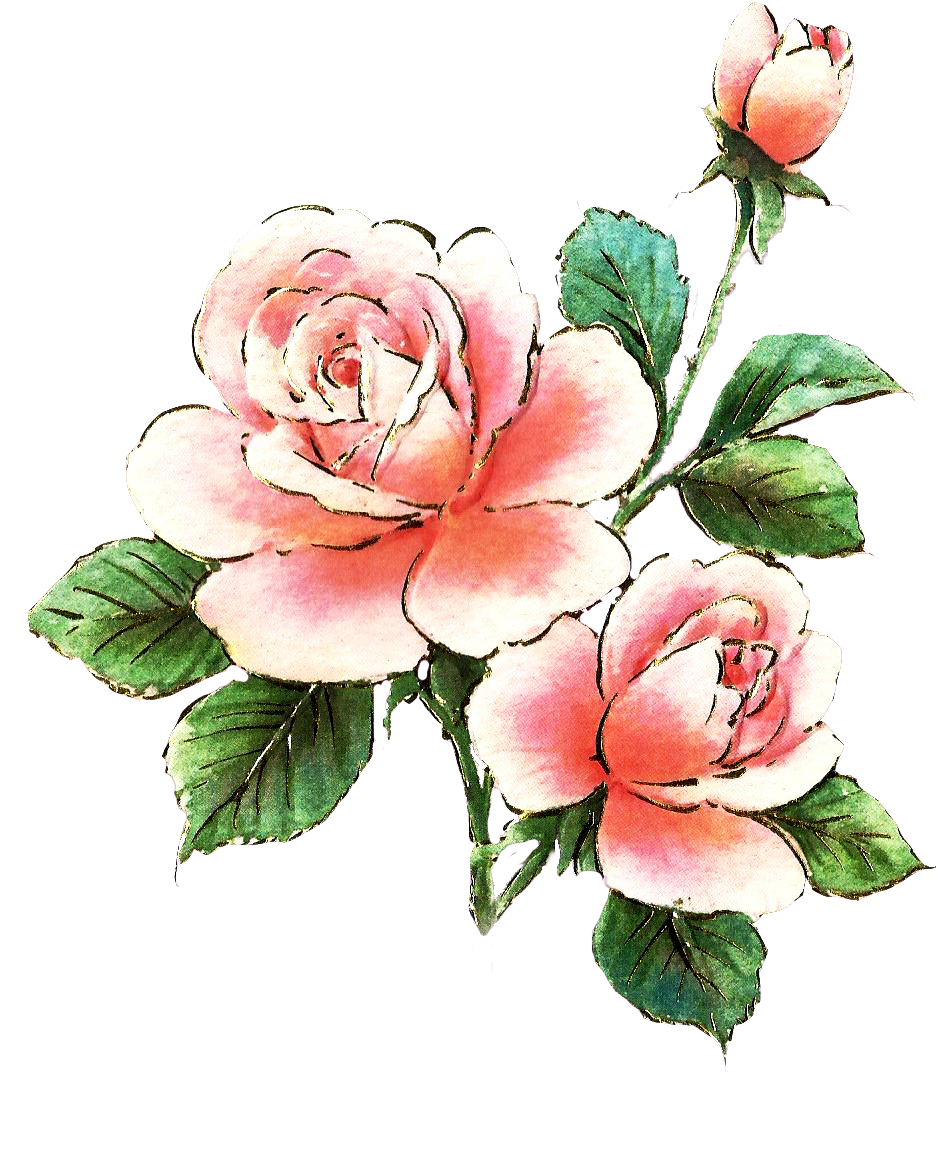 Pink Rose Clip Art