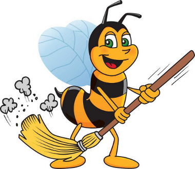 Cleaning Services, Powys | Clean Bees