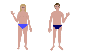 Blank Human Body Outline Vector - Download 1,000 Vectors (Page 1)