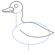 Drawing Cartoon Ducks
