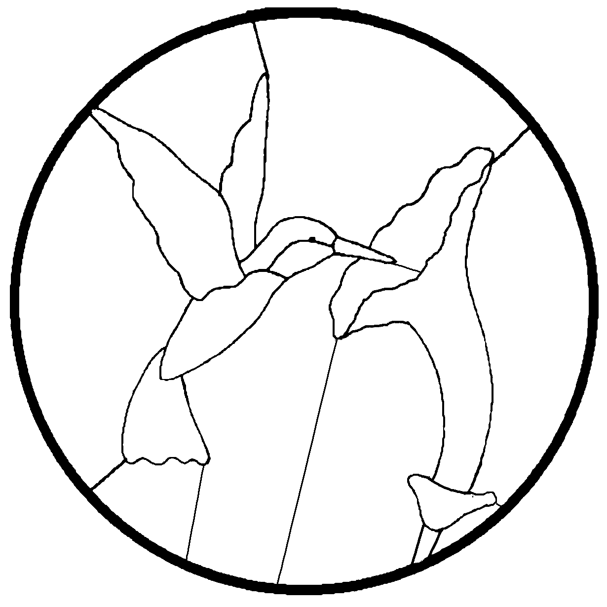 Traceable Flower Patterns