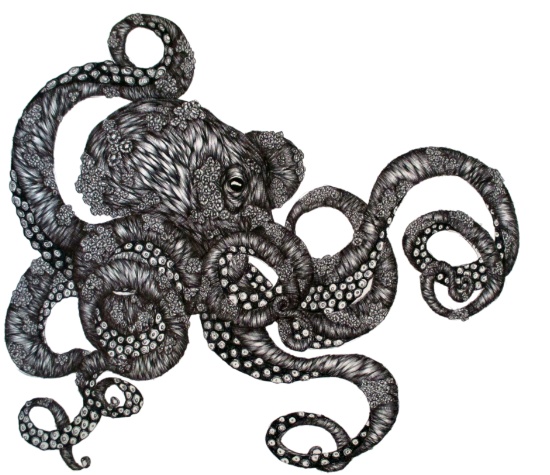 Barnacle Octopus drawing illustration art sea creature – ECMazur