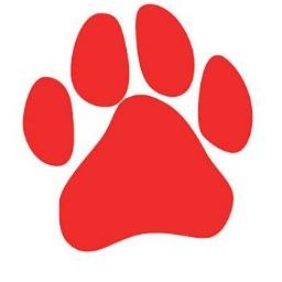 Red Paw Rehoming (@RedPawRehoming) | Twitter