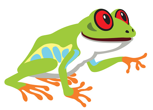 Red Eyed Tree Frog Clip Art, Vector Images & Illustrations