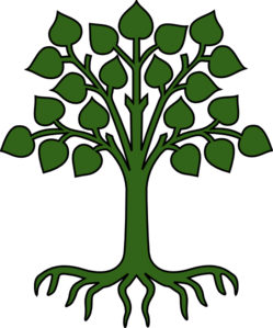 green-tree-with-roots-md.png