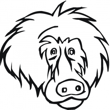 Face Of Baboon coloring page | Super Coloring