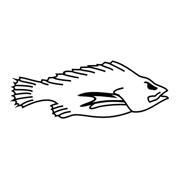 TATTOOS: Fish Tattoo Stencils