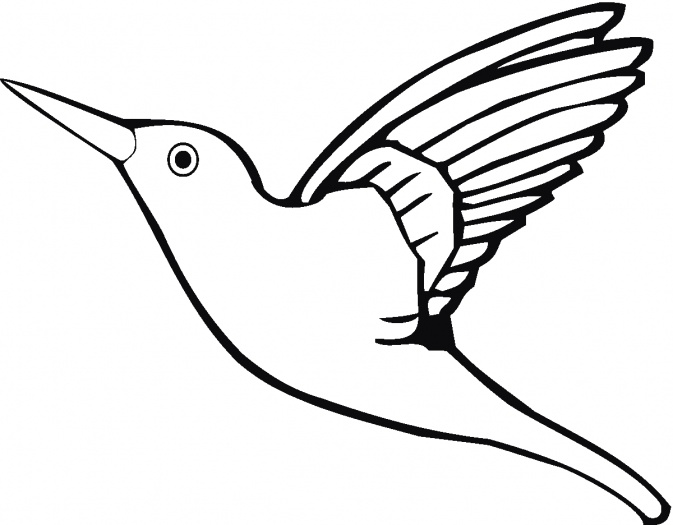 Hummingbirds coloring pages | Super Coloring