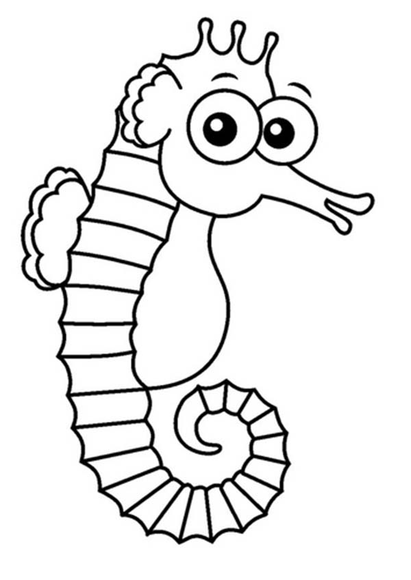 This Seahorse is Surprised Coloring Page | Kids Play Color
