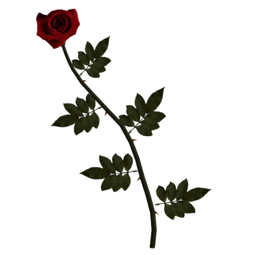 Long Stem Red Rose by ~TexelGirl-Stock