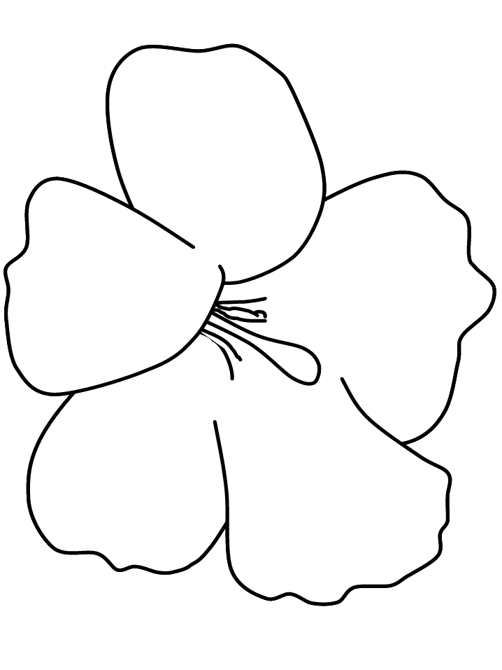 Hawaiian Flower Template ClipArt Best