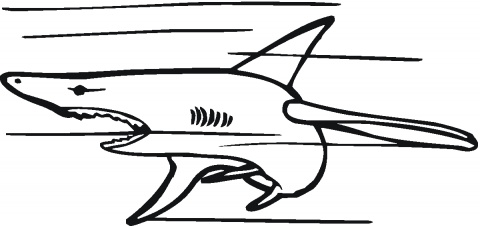 white-shark-4-coloring-page.gif