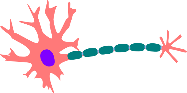 Neuron Art « Livelightbeing - ClipArt Best - ClipArt Best