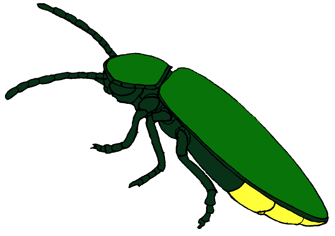 Cartoon Firefly Clipart - Cliparts and Others Art Inspiration