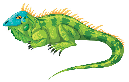 clipart of an iguana - photo #31