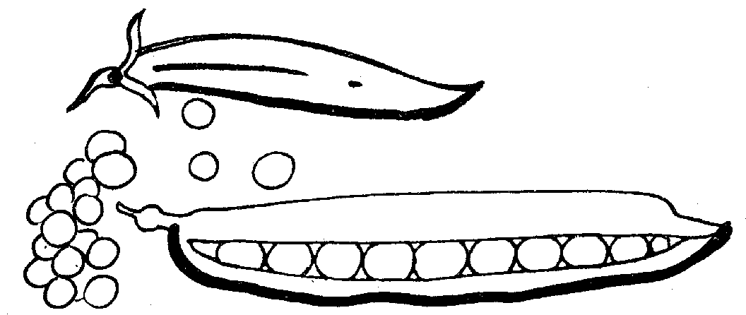 673 views Green Beans Black And White Clipart