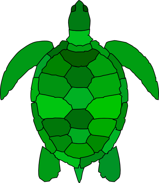 Cartoon Sea Turtle Clipart