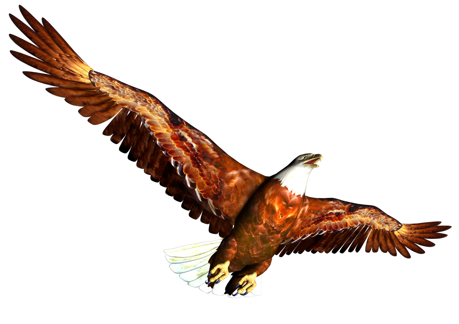 Eagle Clipart