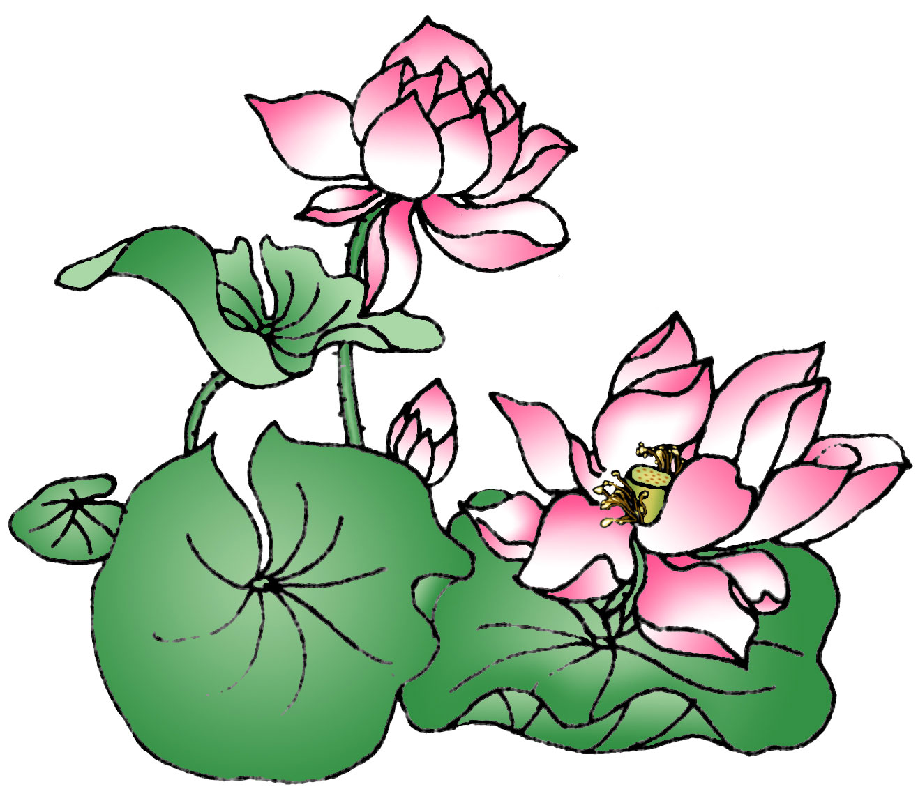 lotus flower images clipart - photo #33
