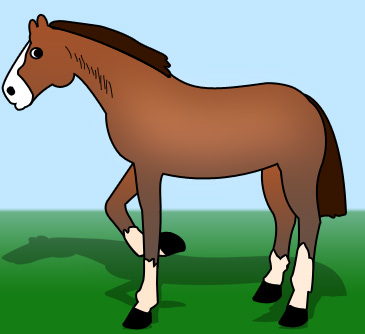 Cartoon Horse Picture
