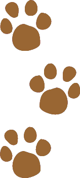 Pet Paw Prints Clip Art, Muddy Animal Tracks Graphic