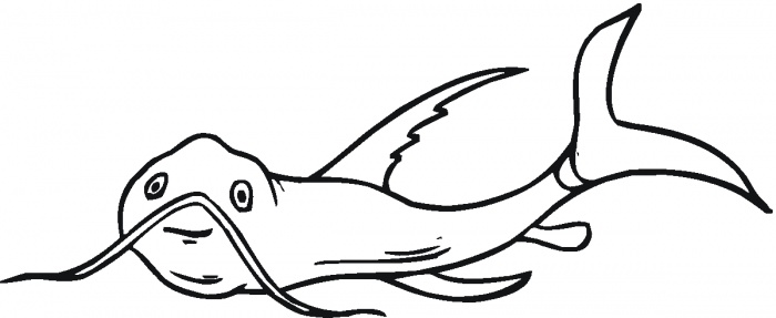 Catfish 24 coloring page | Super Coloring
