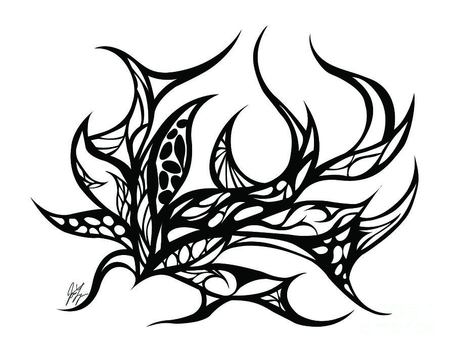 Sea Weed Drawing by Jamie Lynn - Sea Weed Fine Art Prints and ...