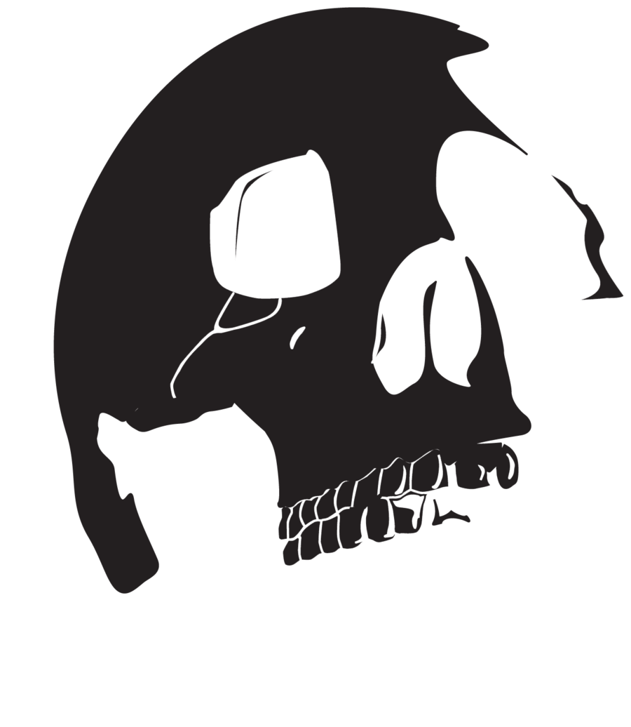 vector skull 2