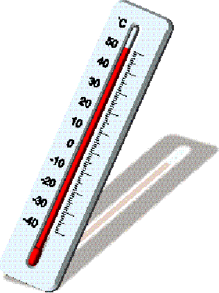 Thermometers for Every Use
