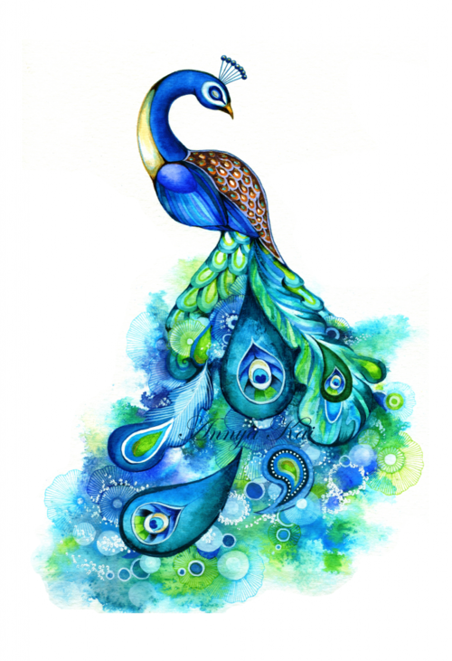 Peacock png #22881 - Free Icons and PNG Backgrounds