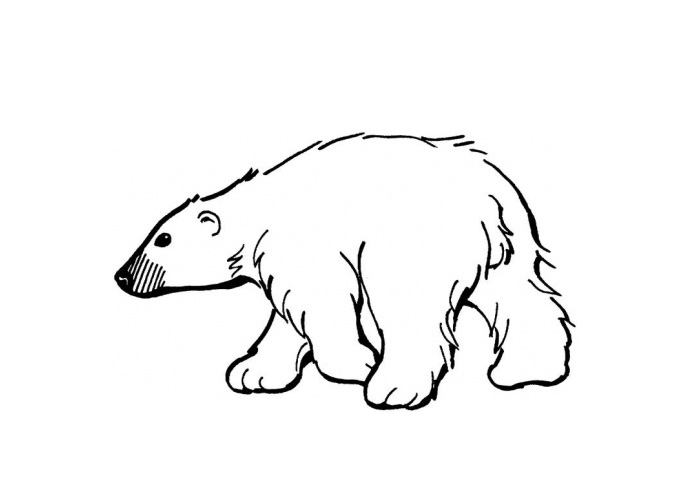 Polar Bear Cartoon - ClipArt Best