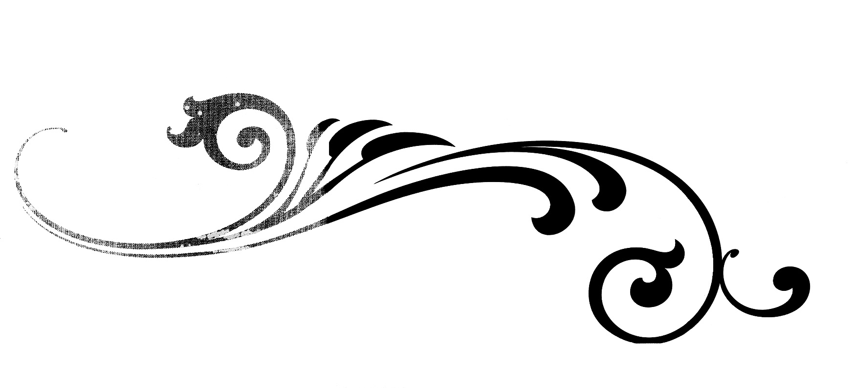 Calligraphy flourish clipart - ClipartFox